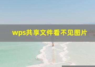 wps共享文件看不见图片