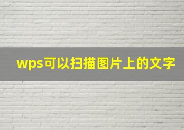 wps可以扫描图片上的文字