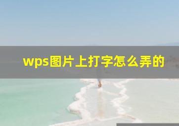 wps图片上打字怎么弄的