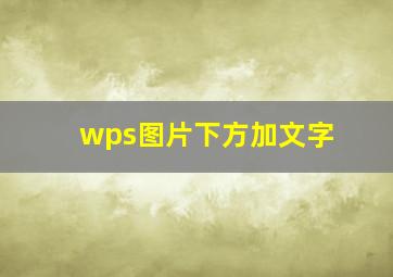 wps图片下方加文字