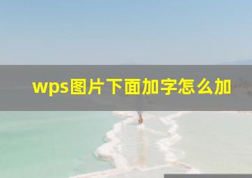 wps图片下面加字怎么加