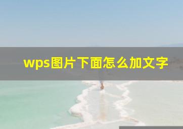 wps图片下面怎么加文字