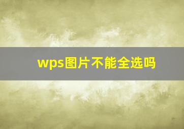 wps图片不能全选吗