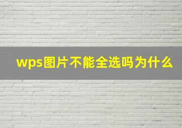 wps图片不能全选吗为什么