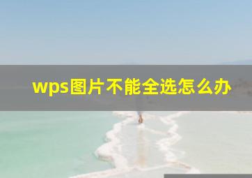 wps图片不能全选怎么办