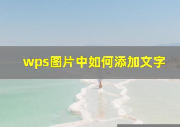 wps图片中如何添加文字