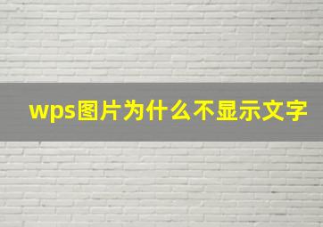 wps图片为什么不显示文字