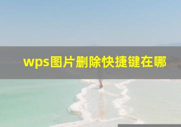 wps图片删除快捷键在哪