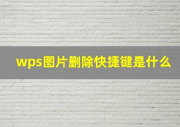 wps图片删除快捷键是什么