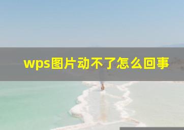 wps图片动不了怎么回事