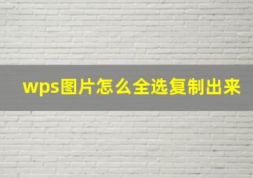 wps图片怎么全选复制出来