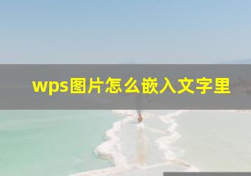 wps图片怎么嵌入文字里