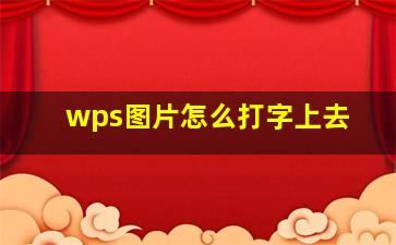 wps图片怎么打字上去