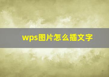 wps图片怎么插文字