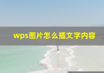 wps图片怎么插文字内容