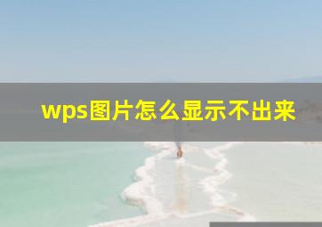 wps图片怎么显示不出来