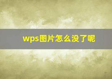 wps图片怎么没了呢