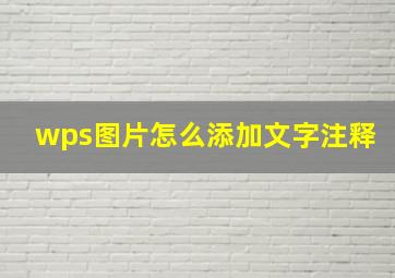 wps图片怎么添加文字注释