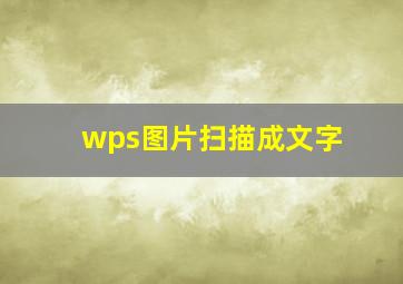 wps图片扫描成文字