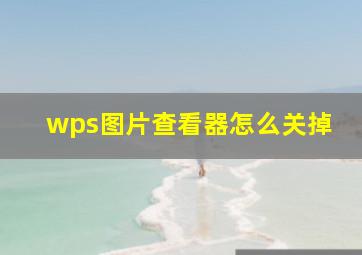 wps图片查看器怎么关掉