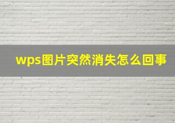 wps图片突然消失怎么回事