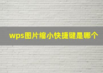 wps图片缩小快捷键是哪个