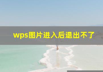 wps图片进入后退出不了