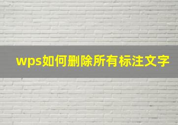 wps如何删除所有标注文字