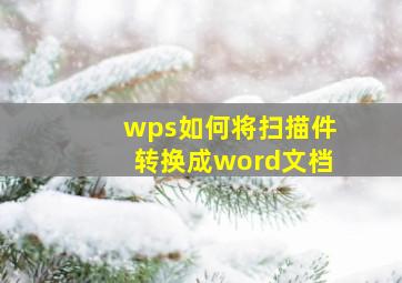 wps如何将扫描件转换成word文档