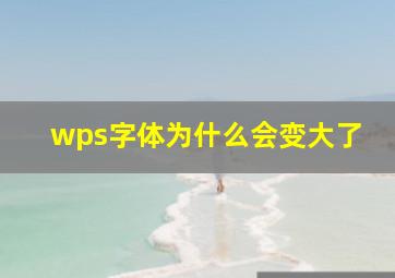 wps字体为什么会变大了