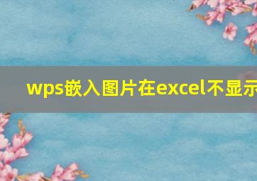 wps嵌入图片在excel不显示