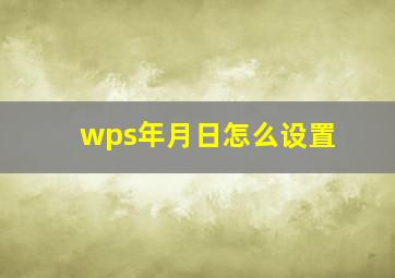 wps年月日怎么设置