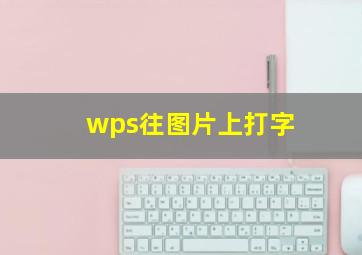 wps往图片上打字