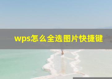 wps怎么全选图片快捷键