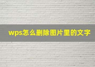 wps怎么删除图片里的文字