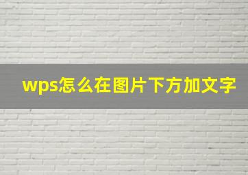 wps怎么在图片下方加文字