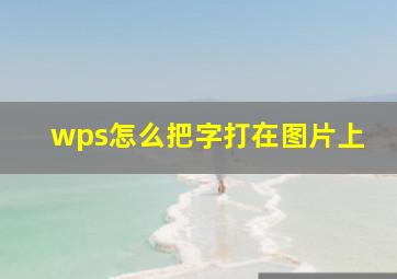 wps怎么把字打在图片上