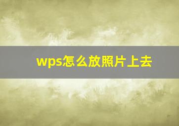 wps怎么放照片上去