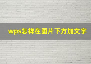 wps怎样在图片下方加文字