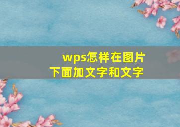 wps怎样在图片下面加文字和文字