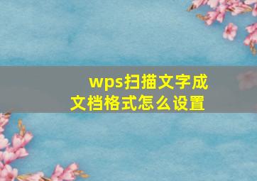 wps扫描文字成文档格式怎么设置