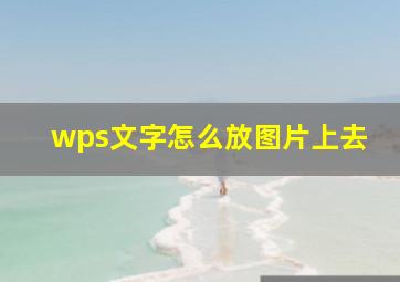 wps文字怎么放图片上去