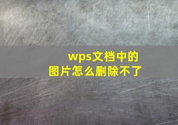 wps文档中的图片怎么删除不了