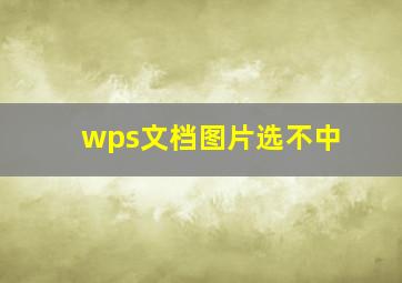 wps文档图片选不中