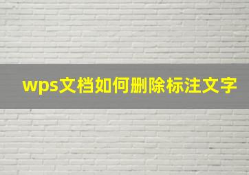 wps文档如何删除标注文字