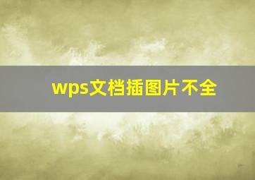 wps文档插图片不全