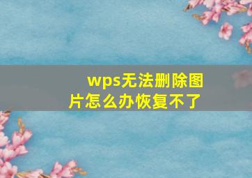 wps无法删除图片怎么办恢复不了