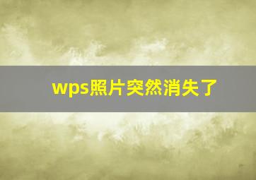 wps照片突然消失了