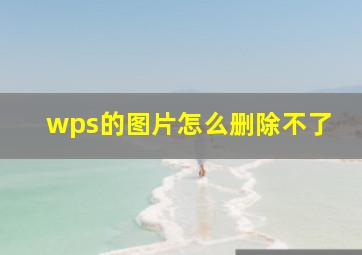 wps的图片怎么删除不了