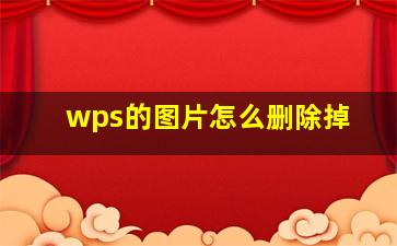 wps的图片怎么删除掉